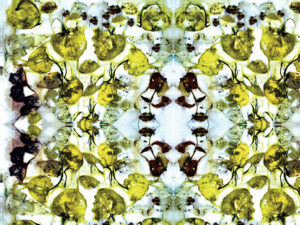 material-kaleidoscope